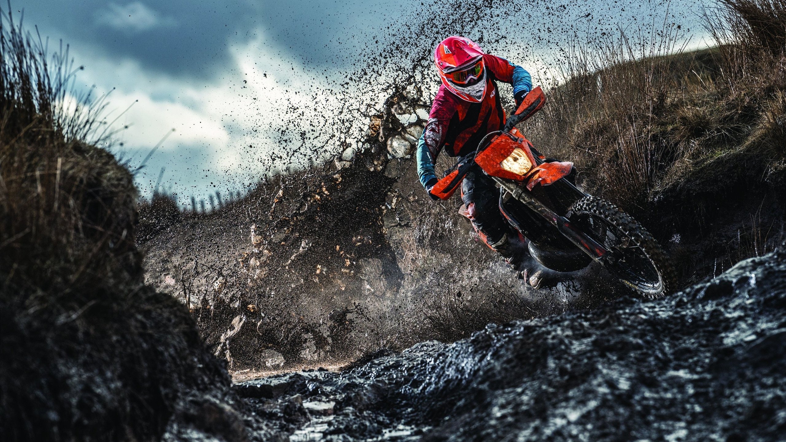 新闻中心权威解读数字化转型实践成果构建长期发展新优势，数字化转型发展战略